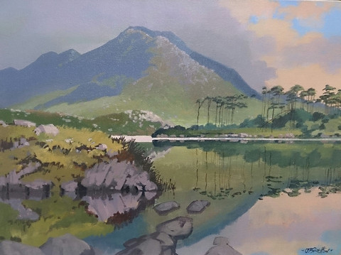 Green Piece Derry Clare Lough Cuna Mara