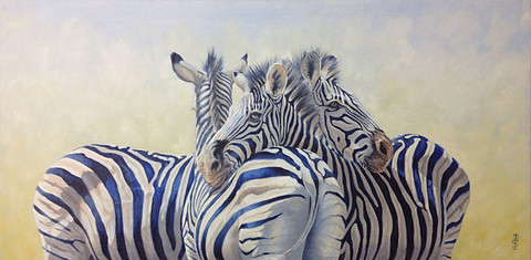 360' Zebra